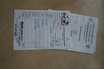 Výměna/prodej Hermelín modrooký (Hem) - 4