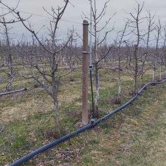 Hledáme Brigádu - 4