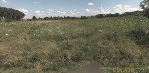 0,1 ha pozemku v k.ú. Dubňany - 4