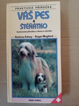 Sport a hry,Váš pes - 4