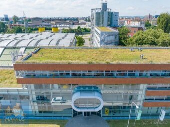 Pronájem kancelářských prostor (25 m2) Plynárenská, Brno - 4
