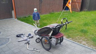 Thule chariot cx1 - 4