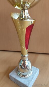 Velký sportovní pohár pro vítěze - 4