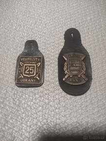 Kapsové odznaky AČR - 4