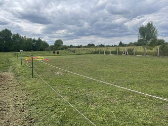 Boxové ustájení - 4