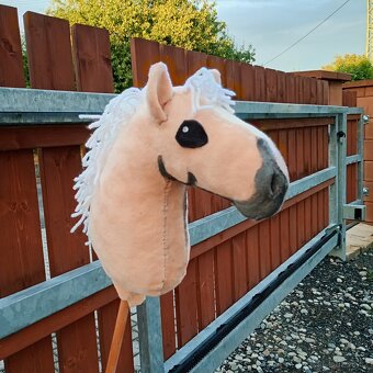 Hobby horse - 4
