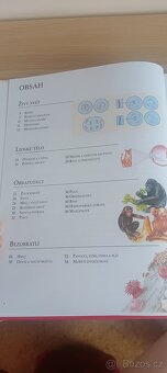 Školní encyklopedie - kol. autorů - 4