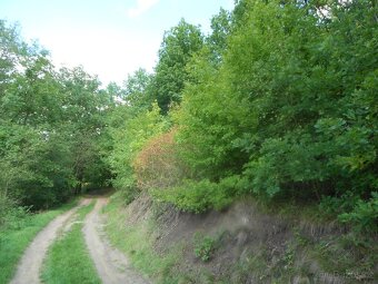 Prodej parcely3606m2,s výhledem na UL a lesem,Kr.Březno - 4
