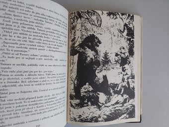 Rudolf Luskač - Odkaz lovce tajgy, ilustrace Zdeněk Burian - 4