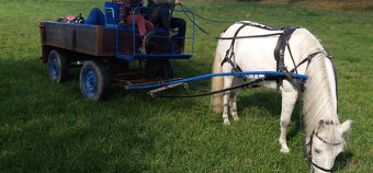 Prodám vůz za větší pony - 4