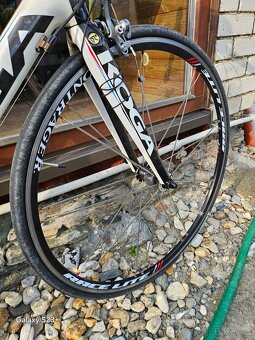 celokarbonové silniční kolo Holandské značky koga - 4