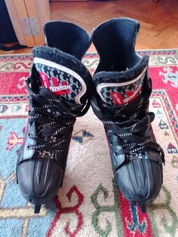 Brusle lední hokej - 4