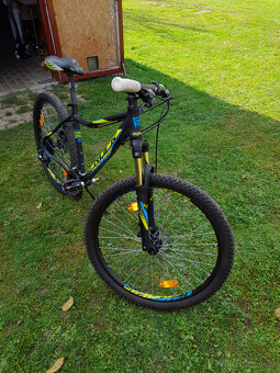 Rock Machine Catherine 60 - 4