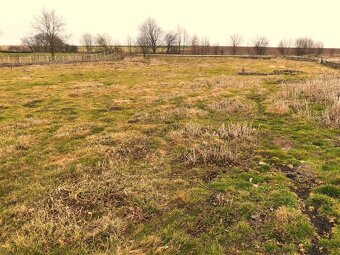 Pronájem pozemku 8.000m2 pro koně atd., 2.000 Kč měsíčně. - 4