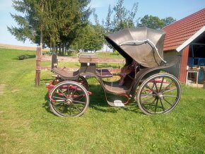 kočar Viktoria - 4