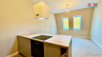 Pronájem bytu 2+kk, 54 m², Opava, ul. Riegrova - 4