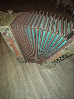 Detska harmonika - 4