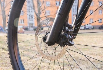 2024 CUBE STEREO ONE44 C:62 PRO KARBON - 4