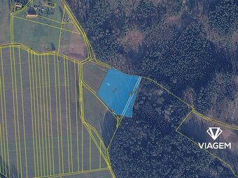 Pole 10 545 m², Podíl 25 % o výměře 2 636 m² - 4