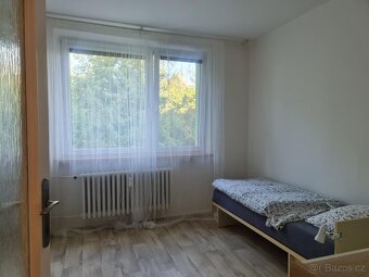 Pronájem bytu 2+1 Zašová - 4