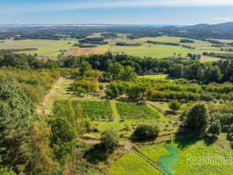 Prodej, Pozemek, Vinohrad, Lhenice, 8000 m2 - 4