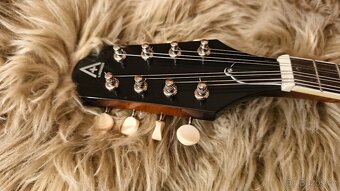 Mandolina Hohner - 4