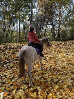 Jízda na koních - 4