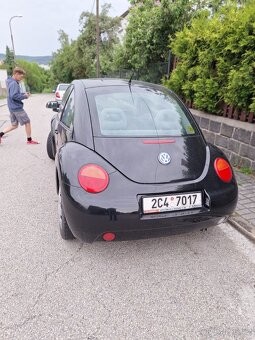New Beetle - 4