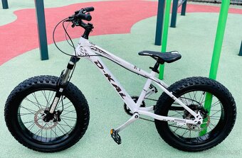 MTB Dirt Fatbike D-Kal 20” - 4