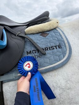 Prodej koňských potřeb pro koně LADY B a RULANDO P - 4