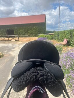 SEDLO WINTEC 2000 AP High Wither - 4