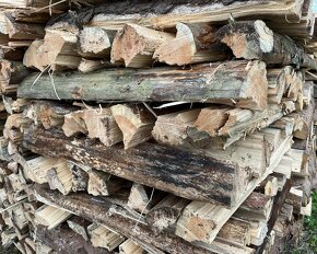 Suché štípané palivové dřevo - borovice - 4