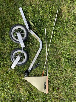 Thule Chariot CX1 - 4