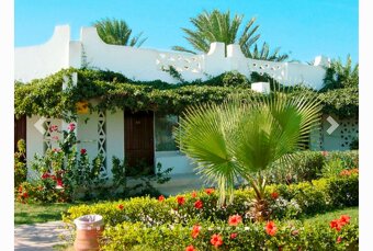 Vánoční Egypt–dovolená–All In-předám za nízkou cenu - 4