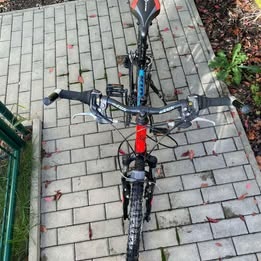Dětské kolo CTM Willy 2.0 24” 2022 - 4