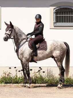 Equestrian Stockholm Moonless Night DL a VS - 4