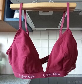 Calvin Klein podprsenka a krajkový korzet - 4