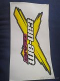 SAMOLEPKY Can-am/team - 4