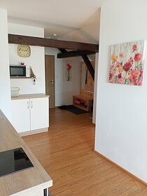 Apartmán na LIPNĚ - volný termín 27.6.-2.7.2025 - 4