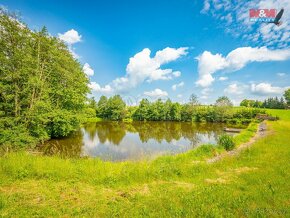 Prodej rybníku s pozemky, 8010 m², Mitrovice - Mezno. - 4
