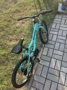 Core Nipper 20 - 4