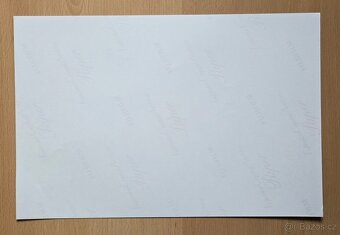 Charles Leclerc Ferrari originální autogram - 4