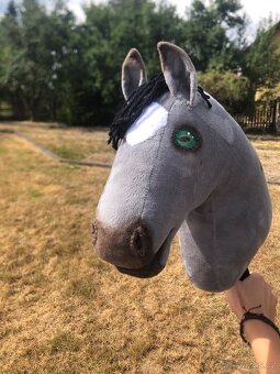 Hobby horse šedý grošák - 4