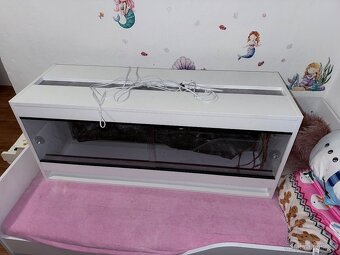 Zánovní terárium - 4