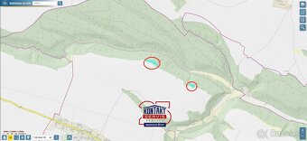 Lesní pozemky s přirozenou obnovou - Líny, okres Mladá Boles - 4