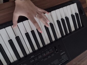 Klávesy Casio stk-3200 - 4
