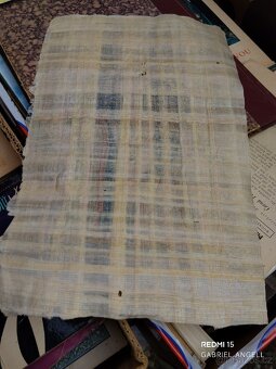 Bůh Hor s Bohyní ( zlacený obraz na papyrusu ) - 4