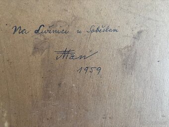 Obraz Jan Valášek, Lužnice u Soběslavi, olej 50x60 - 4