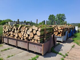 Palivové drevo převážně borovice - 4