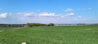 Velká oplocená ZAHRADA 7.141m2 - 4
